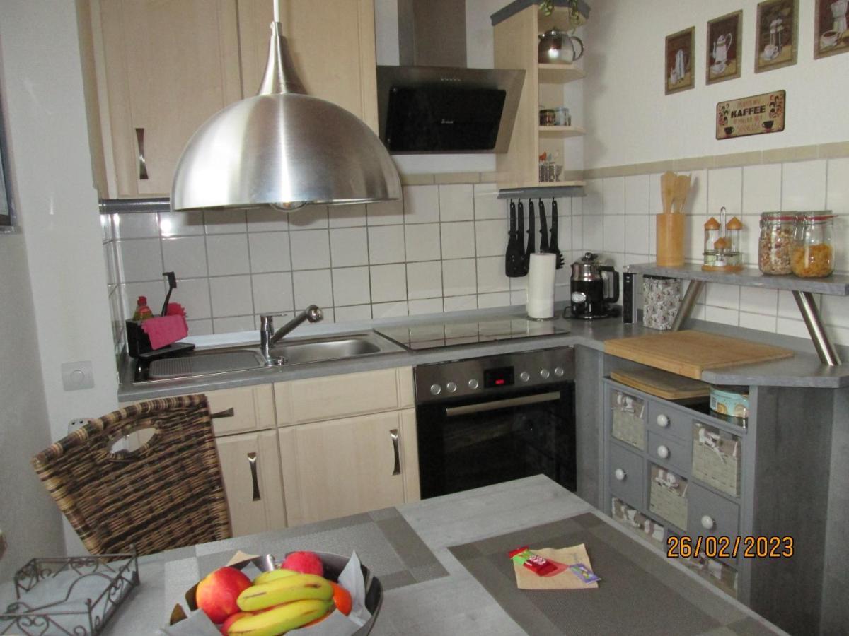 Zentrale-Ruhige Ferienwohnung Reichenbach im Vogtland Exteriör bild